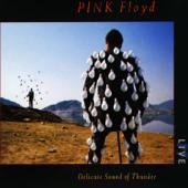 hit download Delicate Sound of Thunder (Live)    Pink Floyd