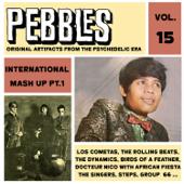 hit download Pebbles Vol. 15, International Mash up Pt. 1, Originals Artifacts from the Psychedelic Era    Artisti Vari