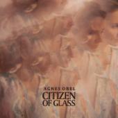 hit download Citizen of Glass    Agnes Obel