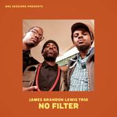 hit download No Filter    James Brandon Lewis Trio