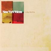 hit download A Day Like This    New York Voices