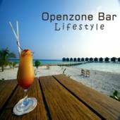 hit download Lifestyle    Openzone Bar