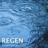 hit download Regen - Regengeräusche    Torsten Abrolat & Regen Macher