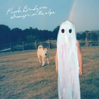 hit download Stranger in the Alps    Phoebe Bridgers