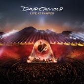 hit download Live at Pompeii    David Gilmour