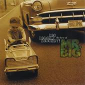 hit download Big, Bigger, Biggest! The Best of Mr. Big    Mr. Big
