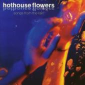 hit download Songs from the Rain    Hothouse Flowers