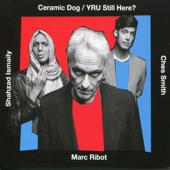 hit download Yru Still Here?    Marc Ribot s Ceramic Dog