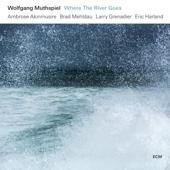 hit download Where the River Goes    Wolfgang Muthspiel, Ambrose Akinmusire, Brad Mehldau, Larry Grenadier & Eric Harland