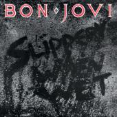 hit download Slippery When Wet    Bon Jovi