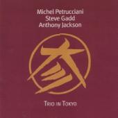 hit download Trio in Tokyo (Live)    Michel Petrucciani, Steve Gadd & Anthony Jackson