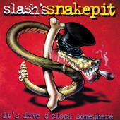 hit download It s Five O Clock Somewhere    Slash s Snakepit