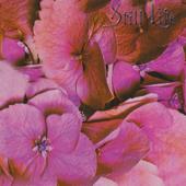 hit download Still Life    Still Life