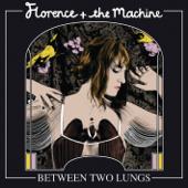 hit download Dog Days Are Over    Florence + the Machine