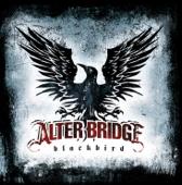 hit download Blackbird    Alter Bridge