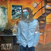 hit download Cherry Wine (Live)    Hozier
