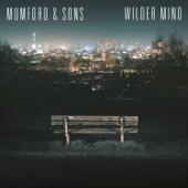 hit download Wilder Mind    Mumford & Sons