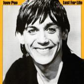 hit download Lust For Life    Iggy Pop
