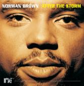 hit download After the Storm    Norman Brown