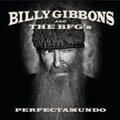 hit download Perfectamundo    Billy Gibbons and The BFG s