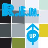 hit download Daysleeper    R.E.M.