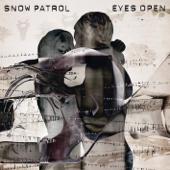 hit download Chasing Cars    Snow Patrol