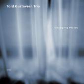 hit download Changing Places    Tord Gustavsen Trio