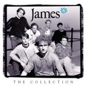 hit download The Collection    James