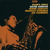 hit download Adam s Apple    Wayne Shorter