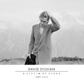 hit download A Victim of Stars 1982-2012    David Sylvian
