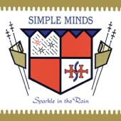 hit download Sparkle in the Rain    Simple Minds