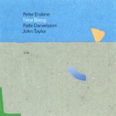 hit download Time Being    Peter Erskine, Palle Danielsson & John Taylor