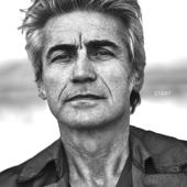 hit download Start    Ligabue