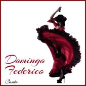 hit download Canto    Domingo Federico
