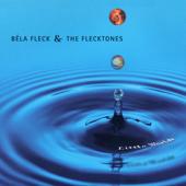 hit download Little Worlds    Béla Fleck & The Flecktones