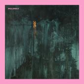 hit download Poemat Konfesyjny - EP    Polonka