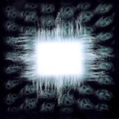 hit download Ænima    TOOL
