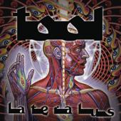 hit download Lateralus    TOOL
