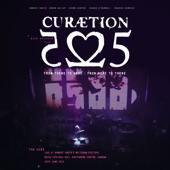 hit download Curaetion-25: From There To Here - From Here To There (Live)    The Cure