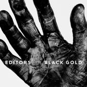 hit download Black Gold: Best of Editors (Deluxe)    Editors