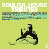 hit download Soulful House Tributes    Artisti Vari