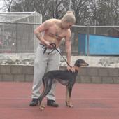 hit download Violence    Yung Lean