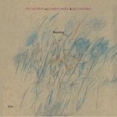 Pat Metheny-Rejoicing