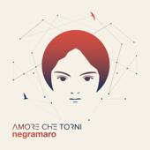 hit download Amore che torni    Negramaro