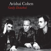 hit download Gently Disturbed    Avishai Cohen