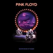 hit download Delicate Sound of Thunder (2019 Remix) [Live]    Pink Floyd