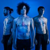 hit download L Ultima Casa Accogliente    The Zen Circus