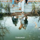 hit download COME FOSSERO CAREZZE - EP    Tamango