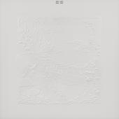 Bon Iver-Bon Iver, Bon Iver (10th Anniversary Edition)