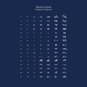 hit download Captured Spirits    Mammal Hands
